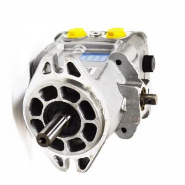 Pompe hydraulique pompe engrenages gear pump flow debit pression std EU 1.8cc
