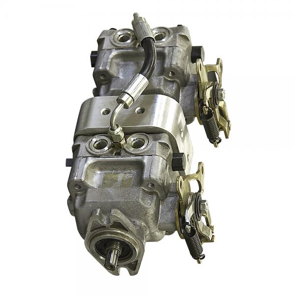 Loncin Moteur Diesel Pompe Hydraulique Set #1 image