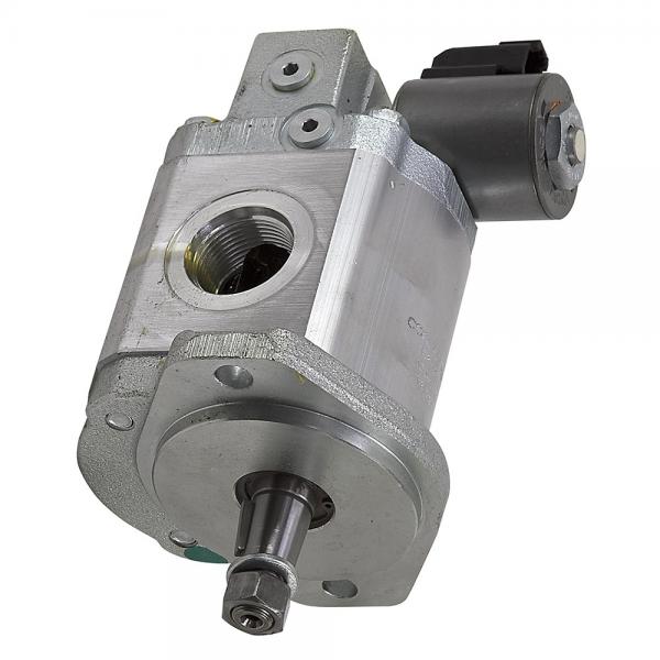 Pompe hydraulique pompe engrenages externe gear pump standard europeen groupe 2 #3 image