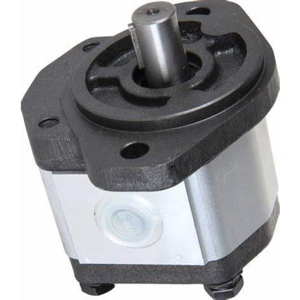 Pompe hydraulique pompe engrenages externe gear pump standard europeen groupe 2 #1 image