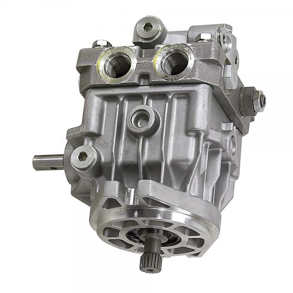 Vickers PVB29-RS-20-C-11 Hydraulic Axial Piston Pump USIP #1 image