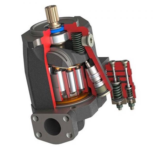 R902460949 Rexroth A10V071DFR1/31L-VRC62K01 Variable Axial Piston Pump #1 image