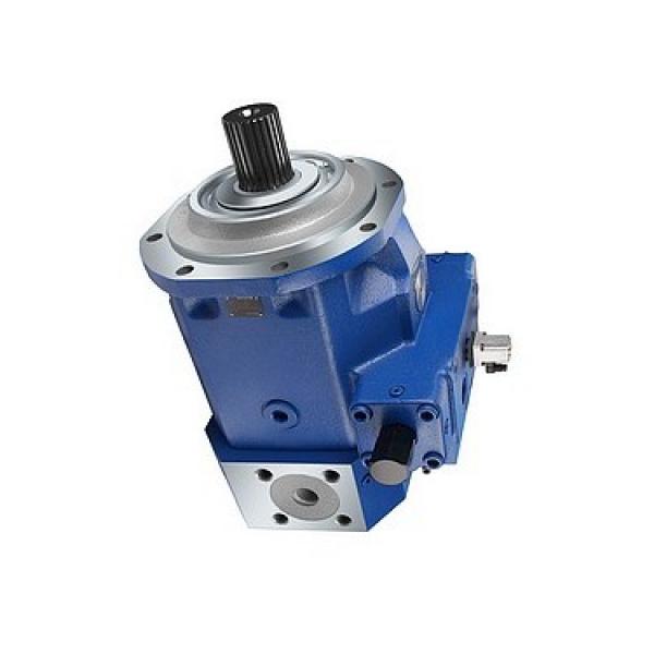 BOSCH REXROTH hydraulic axial piston fixed pump A17FO032/10NLWK0E81-0 R902162390 #1 image