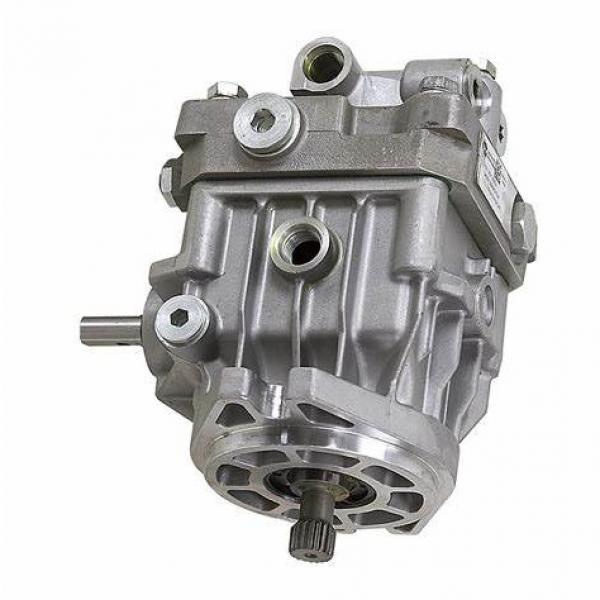 BOSCH REXROTH hydraulic axial piston fixed pump A17FO063/10NLWK0E81-0 R902162394 #1 image