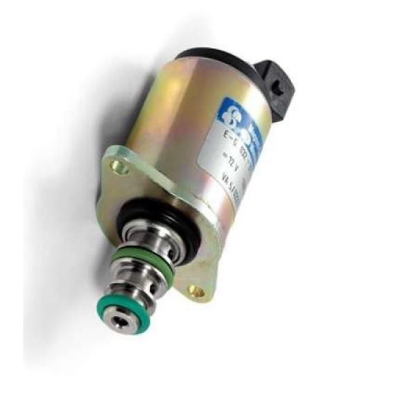 Valve d'équilibrage hydraulique double overcenter valve 1" 20.200B #3 image