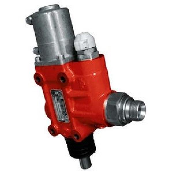 Valve d'équilibrage hydraulique double overcenter valve 3/8" 50.350B #3 image