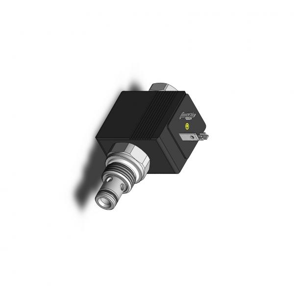 Clapet anti-retour hydraulique check valve clapet en ligne taraudé 1"1/4 14 PSI #1 image