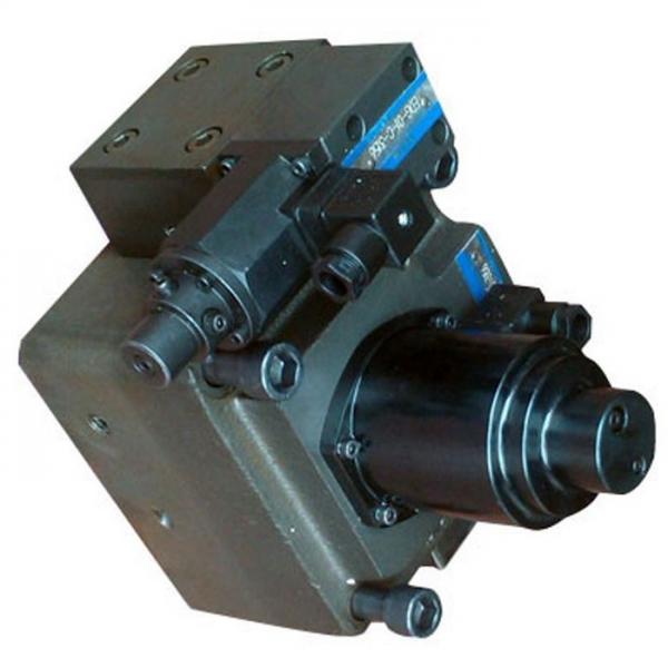 Clapet anti-retour hydraulique check valve clapet en ligne taraudé 1"1/4 65 PSI #1 image