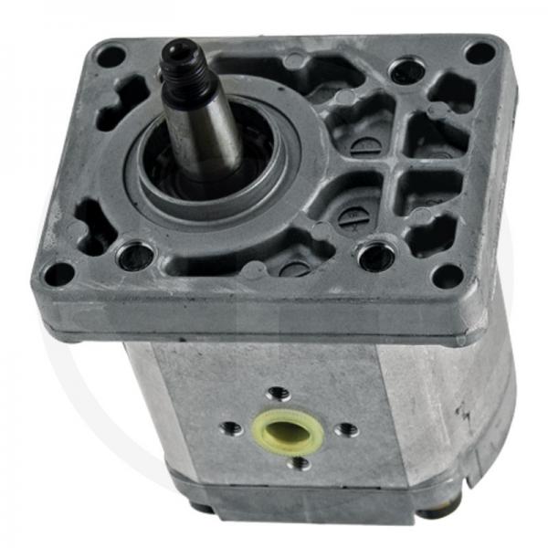 Pompe Hydraulique Bosch/Rexroth 16 + 14cm ³ Case IH C55 C64 C70 CS94 Deutz 90 #1 image