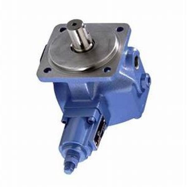 pompe hydraulique REXROTH  réf R900950954/PV7-20/20-25RA01MA0-05 neuve #1 image
